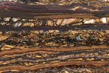 Polished Tiger Iron Stromatolite Slab - Billion Years #222075-1